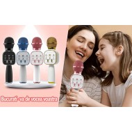 Microfon Karaoke Wireless DS813